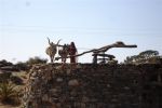 07 Jodpur Udaipur Mix (169)
